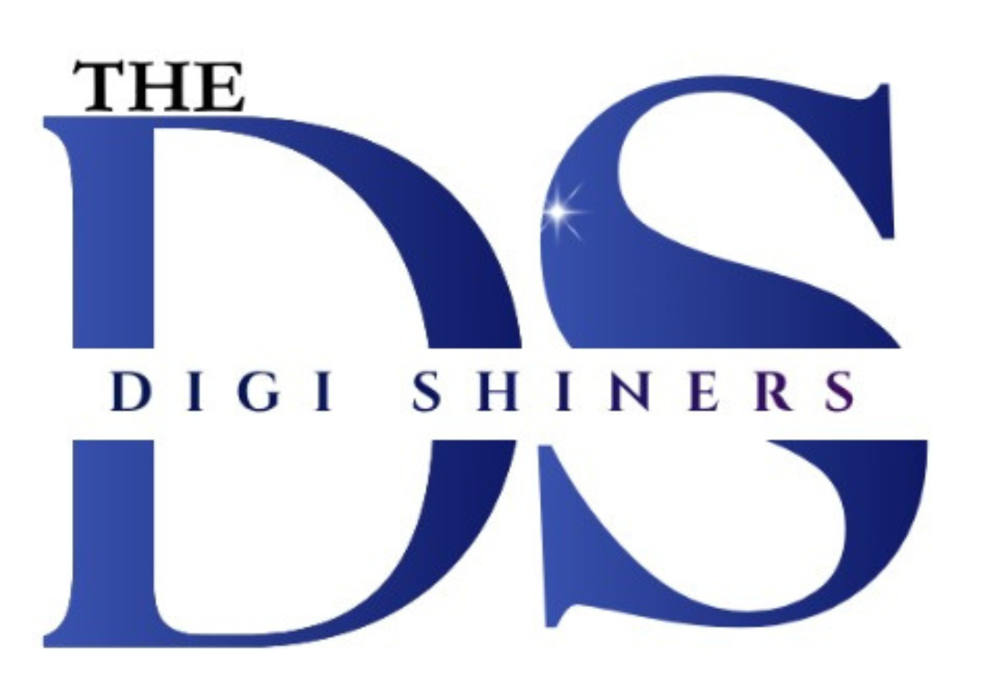 The Digi Shiners 